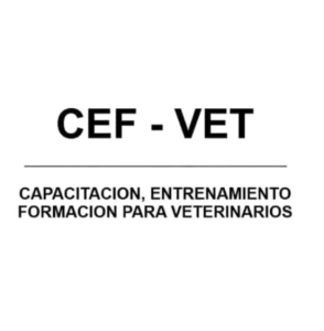 educación superior